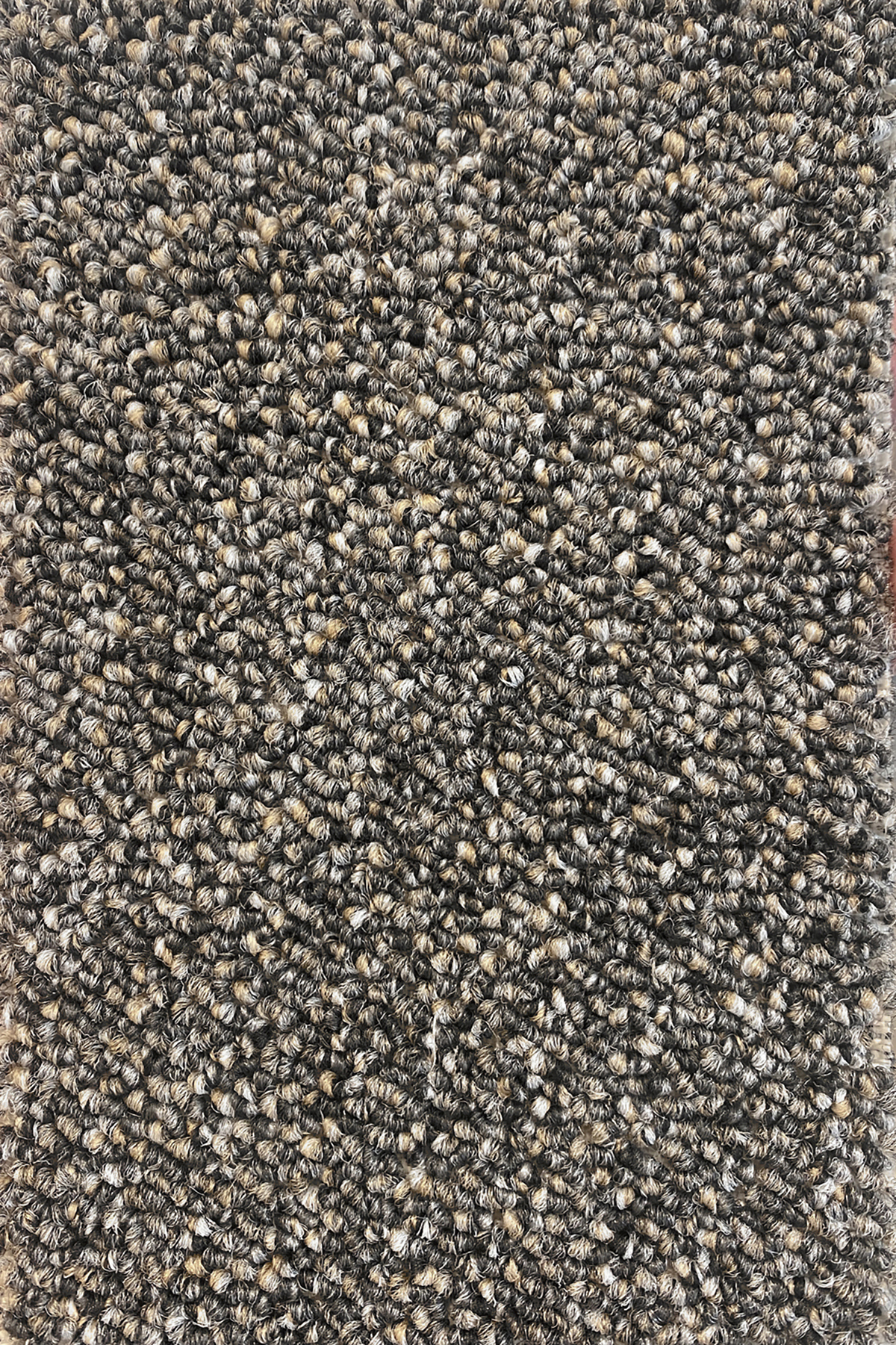 Ковровое покрытие "Bonkeel" Nero 97 (ширина 4м) — купить в Калининграде