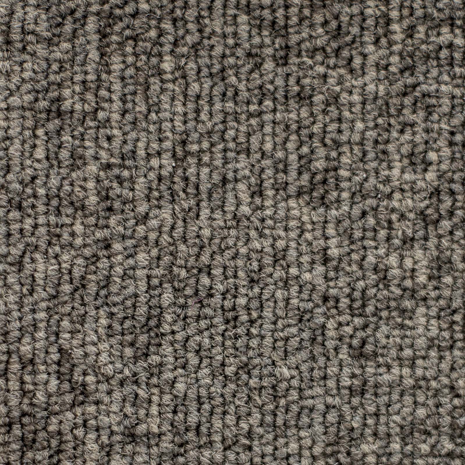 Ковролин "Зартекс" Daily 68 коричневый (4м) — купить в Калининграде