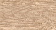 Плинтус "Идеал" пластиковый Элит Дуб Сафари (2500*22*67 мм) — купить в Калининграде
