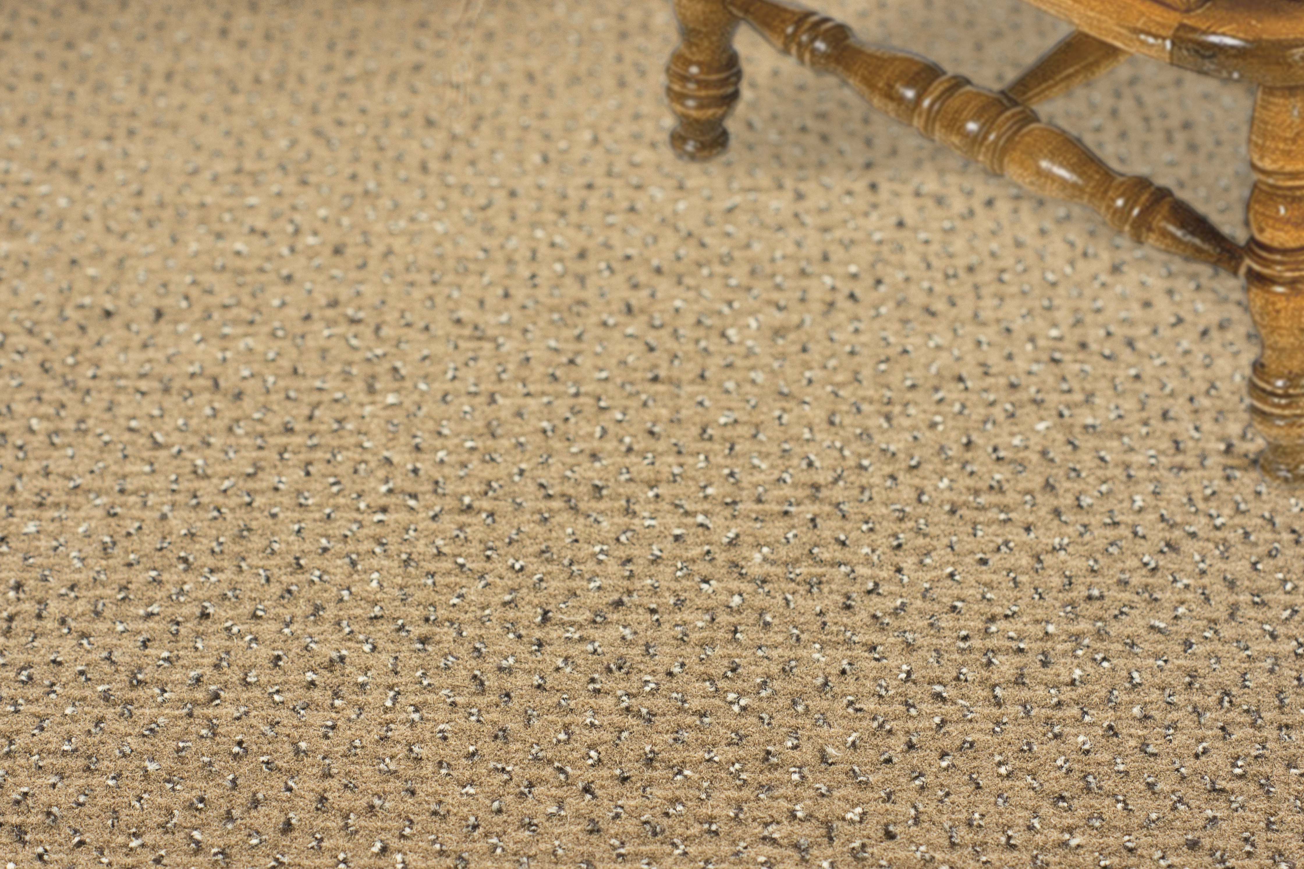 Ковролин "Зартекс" Eternity 142 бежевый (4м) — купить в Калининграде