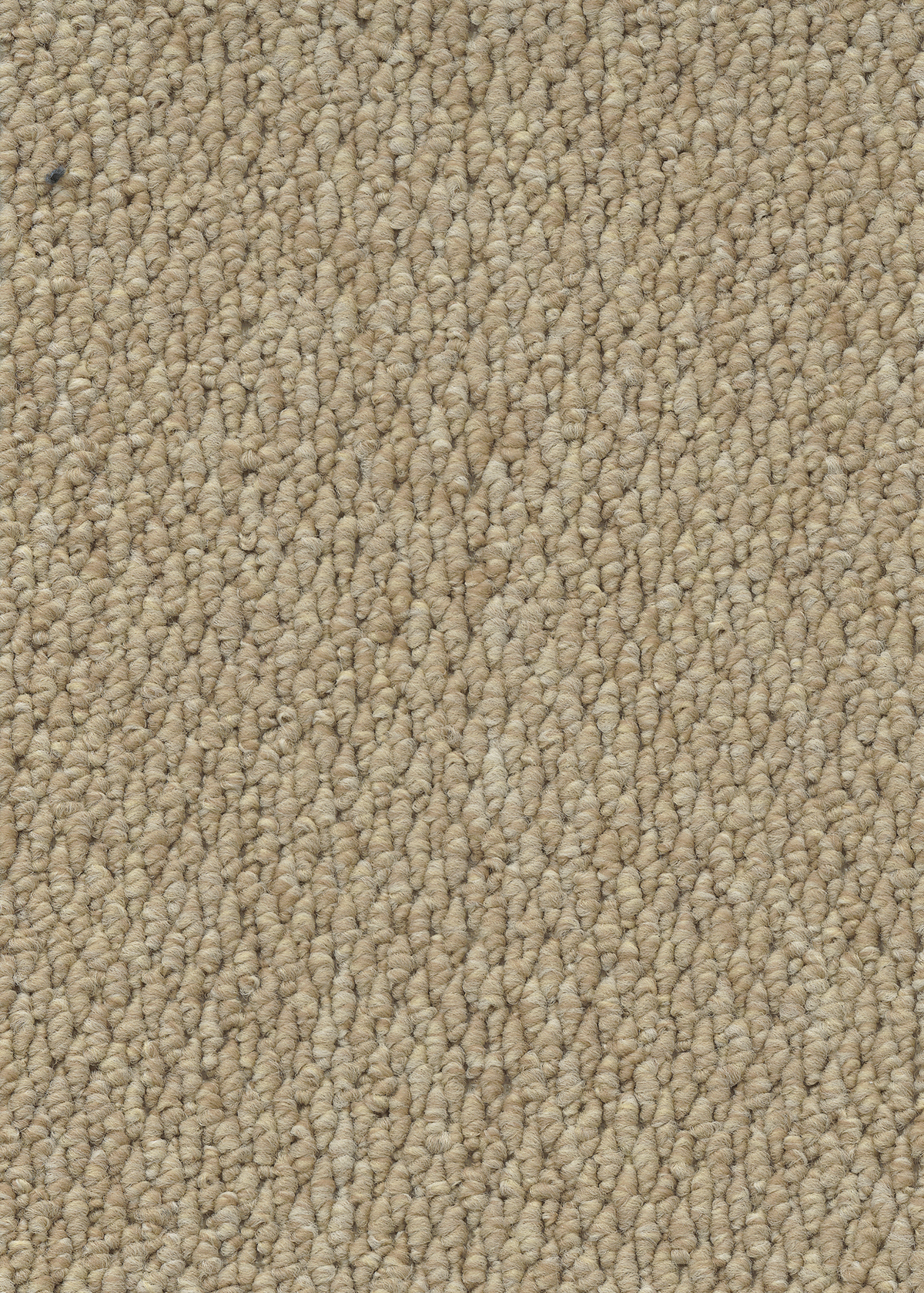 Ковровое покрытие "Bonkeel" Skye 50 (ширина 4м) — купить в Калининграде